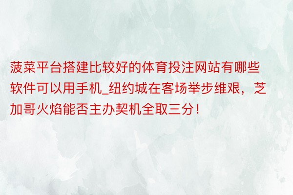 菠菜平台搭建比较好的体育投注网站有哪些软件可以用手机_纽约城在客场举步维艰，芝加哥火焰能否主办契机全取三分！