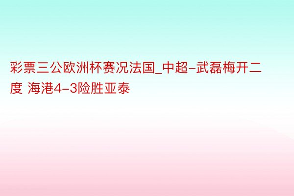 彩票三公欧洲杯赛况法国_中超-武磊梅开二度 海港4-3险胜亚泰