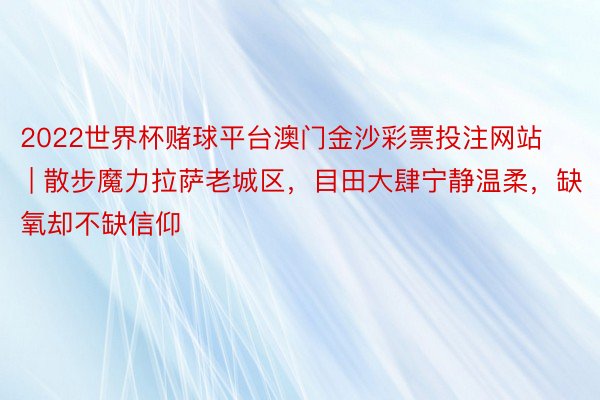 2022世界杯赌球平台澳门金沙彩票投注网站 | 散步魔力拉萨老城区，目田大肆宁静温柔，缺氧却不缺信仰