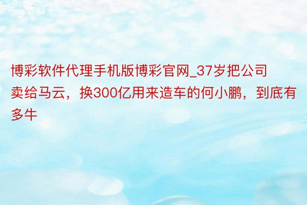 博彩软件代理手机版博彩官网_37岁把公司卖给马云，换300亿用来造车的何小鹏，到底有多牛